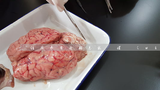 信用卡有逾期怎么辦理網(wǎng)貸