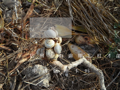信用卡有逾期怎样才能网贷(有网贷逾期可以申请信用卡吗?)