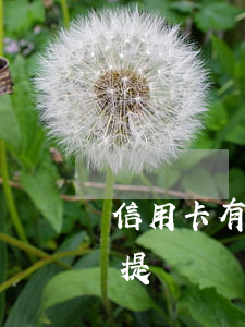 信用卡有逾期怎樣提額-信用卡有逾期怎樣提額