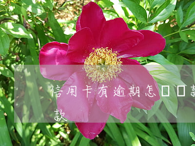 信用卡有逾期怎樣貸款(信用卡有逾期怎樣貸款)
