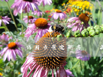 信用卡有逾期房貸寧波(房貸和信用卡逾期)
