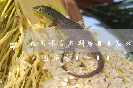 信用卡有逾期房貸會怎么樣(房貸逾期和信用卡逾期性質一樣嗎)