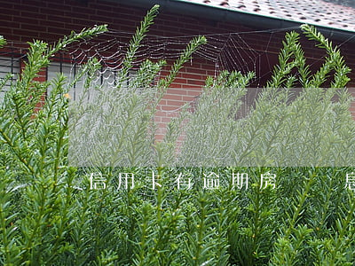 信用卡有逾期房貸罰息(房貸逾期罰金)