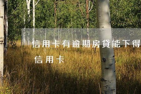信用卡有逾期房貸能下得來嗎(有逾期能下的信用卡)