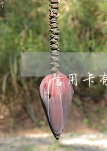 信用卡有逾期房貸能貸嗎