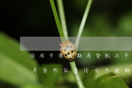 信用卡有逾期房贷就办不下来吗-已经办了房贷然后有信用卡逾期有什么后果