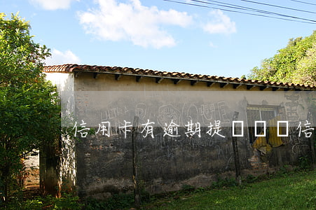信用卡有逾期提額嗎嗎（信用卡有逾期提額嗎）