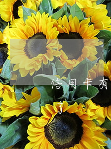 信用卡有逾期是怎么回事(什么叫信用卡逾期了)