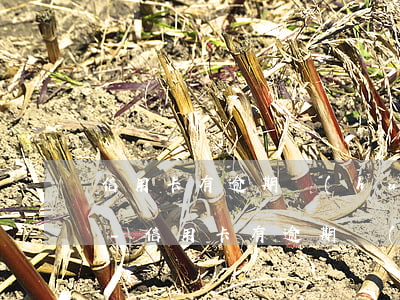 信用卡有逾期會(huì)影響公積金貸款-信用卡有逾期會(huì)影響公積金貸款嗎