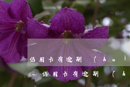 信用卡有逾期會(huì)影響教師政審么-信用卡有逾期會(huì)影響教師政審么嗎