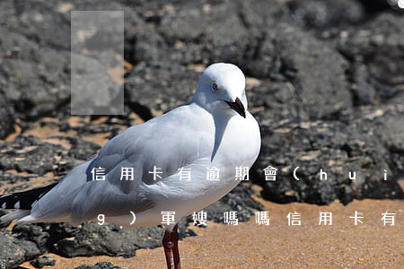 信用卡有逾期會(huì)影響當(dāng)軍嫂嗎嗎（信用卡有逾期會(huì)影響當(dāng)軍嫂嗎）