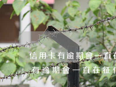 信用卡有逾期會一直在征信顯示嗎-信用卡有逾期會一直在征信顯示嗎