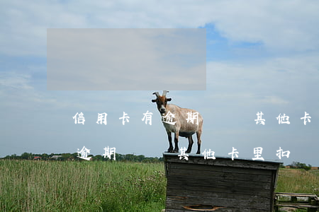 信用卡有逾期會從其他卡里扣嗎-信用卡有逾期會從其他卡里扣嗎怎么辦