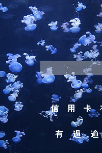 信用卡有逾期有額度還能取現(xiàn)(有過逾期的信用卡還能提額度嗎)