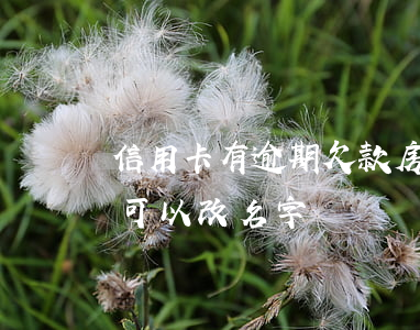 信用卡有逾期欠款房子能更名嗎 信用卡逾期可以改名字嗎