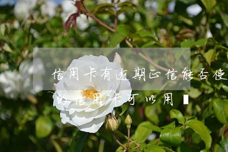 信用卡有逾期正信能否使用(過(guò)期的信用卡可以用嗎)