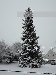 信用卡有逾期污點怎么處理(被拘留導致信用卡逾期怎么辦)