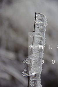 信用卡有逾期沒(méi)有超過(guò)90天的-信用卡有逾期沒(méi)有超過(guò)90天的逾期