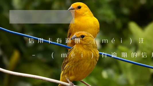 信用卡有逾期沒(méi)注銷影響征信嗎-沒(méi)有逾期的信用卡注銷了會(huì)影響征信嗎