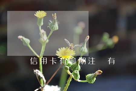 信用卡有逾期注銷有