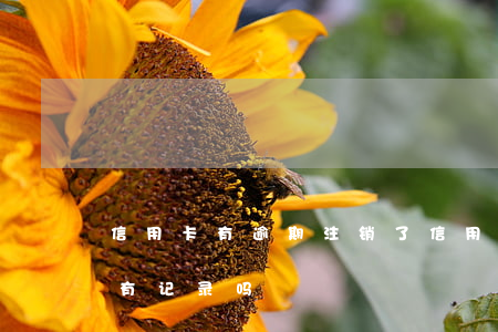 信用卡有逾期注销了(信用卡有逾期注销了还有记录吗)