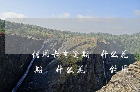 信用卡有逾期為什么花唄還能用 信用卡有逾期為什么花唄還能用