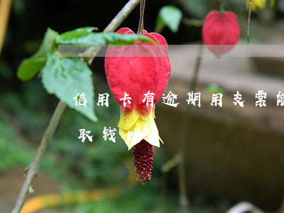 信用卡有逾期用支票能取钱嘛(过期支票可以取钱吗)