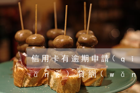 信用卡有逾期申請(qǐng)什么網(wǎng)貸(網(wǎng)貸逾期可以辦什么信用卡)