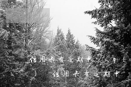 信用卡有逾期申請(qǐng)車(chē)貸 信用卡有逾期申請(qǐng)車(chē)貸有影響嗎