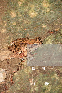 信用卡有逾期的會(huì)不會(huì)影響貸款-信用卡有逾期的會(huì)不會(huì)影響貸款買房