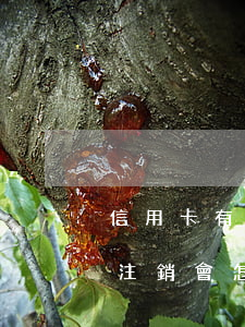 信用卡有逾期直接注銷-信用卡有逾期直接注銷會怎么樣
