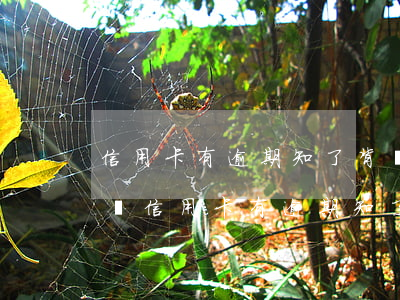 信用卡有逾期知了背調(diào)有影響嗎（信用卡有逾期知了背調(diào)有影響嗎）