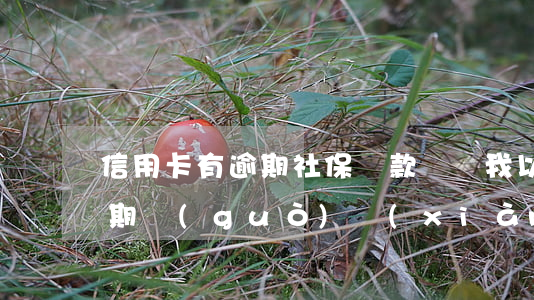 信用卡有逾期社保貸款買車(我以前信用卡逾期過(guò),現(xiàn)在貸款買車可以嗎)