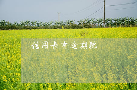 信用卡有逾期耽誤簽證嗎(信用卡逾期影響)