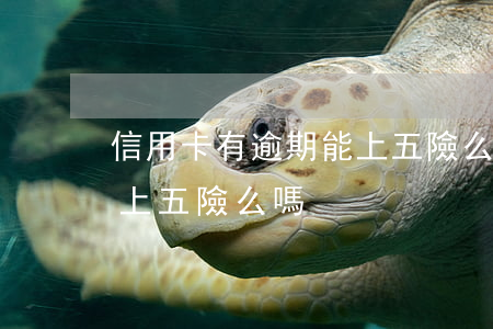 信用卡有逾期能上五險么-信用卡有逾期能上五險么嗎