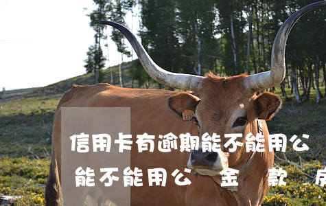 信用卡有逾期能不能用公積金(信用卡有逾期能不能用公積金貸款買房)