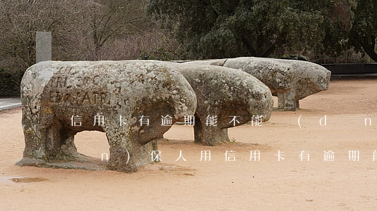 信用卡有逾期能不能當(dāng)擔(dān)保人用（信用卡有逾期能不能當(dāng)擔(dān)保人）