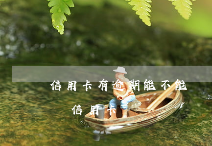 信用卡有逾期能不能辦儲蓄卡(銀行有逾期能辦信用卡)