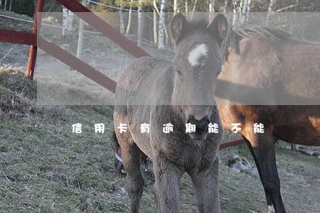信用卡有逾期能不能辦簽證(欠信用卡可以辦簽證嗎)