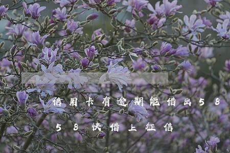 信用卡有逾期能借出58快借嗎(58好借和58快借上征信嗎)