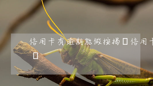 信用卡有逾期能做按揭嗎(信用卡逾期能貸款嗎?)