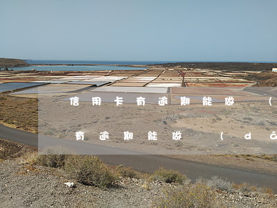信用卡有逾期能做擔(dān)保人(信用卡有逾期能做擔(dān)保人嗎)