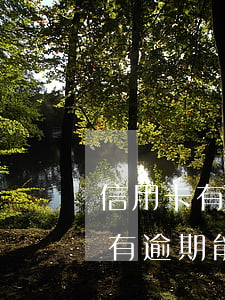 信用卡有逾期能做擔(dān)保嗎(信用卡有逾期能做擔(dān)保嗎嗎)