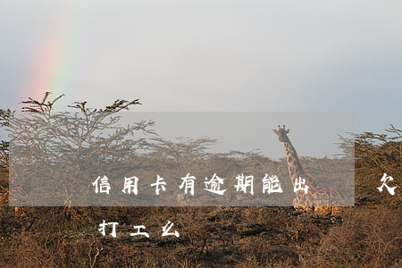 信用卡有逾期能出國嗎(欠信用卡逾期能出國打工么)