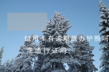 信用卡有逾期能办护照吗(信用卡逾期能办港澳通行证吗)