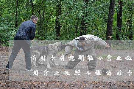 信用卡有逾期能办营业执照(法人有逾期,还能用营业执照办理信用卡吗)