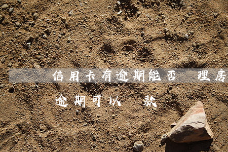 信用卡有逾期能否辦理房貸(買房子信用卡有逾期可以貸款嗎)