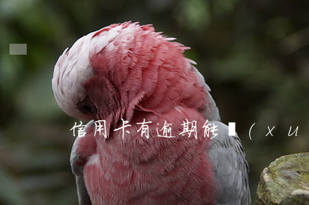 信用卡有逾期能學(xué)車嘛