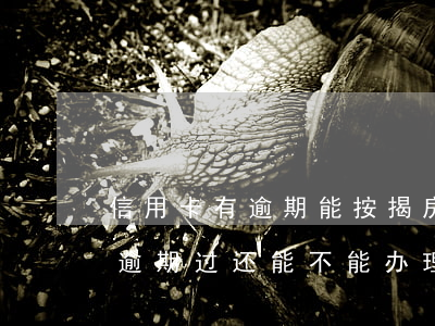 信用卡有逾期能按揭房子吗(我以前有信用卡,逾期过还能不能办理按揭)