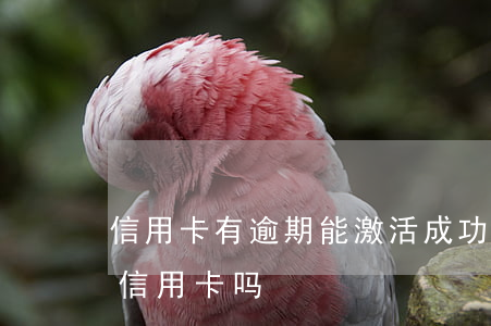 信用卡有逾期能激活成功吗(有逾期可以激活信用卡吗)